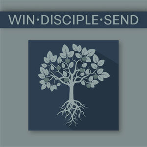 WDS ICON V1